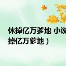 休掉亿万爹地 小说(休掉亿万爹地)