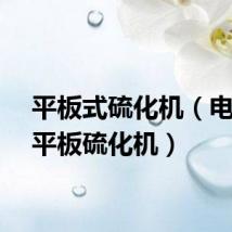 平板式硫化机(电加热平板硫化机)