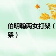 伯明翰两女打架（女打架）