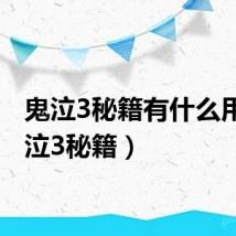 鬼泣3秘籍有什么用（鬼泣3秘籍）
