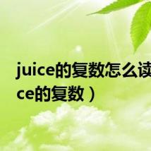 juice的复数怎么读(juice的复数)