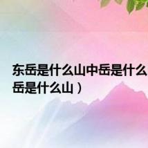 东岳是什么山中岳是什么山（东岳是什么山）
