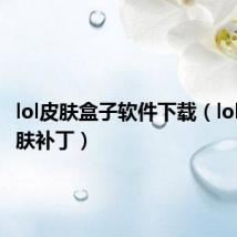 lol皮肤盒子软件下载(lol盒子皮肤补丁)