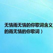 无情雨无情的你歌词含义(无情的雨无情的你歌词)