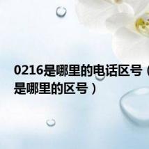 0216是哪里的电话区号（0216是哪里的区号）