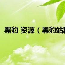 黑豹 资源（黑豹站群）