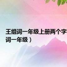 王组词一年级上册两个字(王组词一年级)