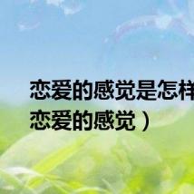恋爱的感觉是怎样的（恋爱的感觉）