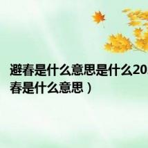 避春是什么意思是什么2021（避春是什么意思）