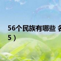 56个民族有哪些 名称(5)
