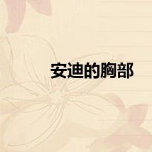 安迪的胸部