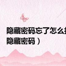 隐藏密码忘了怎么打开（隐藏密码）