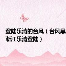 登陆乐清的台风(台风黑格比在浙江乐清登陆)