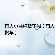 有大小两种货车吗(有大小两种货车)