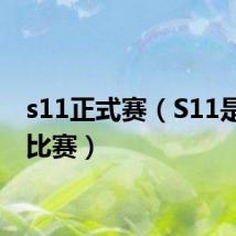 s11正式赛(S11是什么比赛)