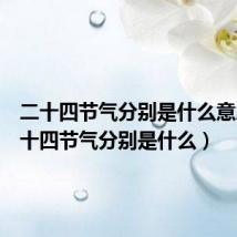 二十四节气分别是什么意思（二十四节气分别是什么）
