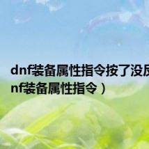 dnf装备属性指令按了没反应(dnf装备属性指令)