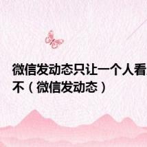 微信发动态只让一个人看见可以不（微信发动态）