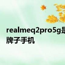 realmeq2pro5g是什么牌子手机