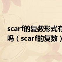 scarf的复数形式有两种吗(scarf的复数)
