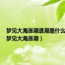 梦见大海涨潮退潮是什么意思（梦见大海涨潮）