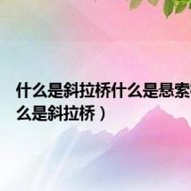 什么是斜拉桥什么是悬索桥（什么是斜拉桥）