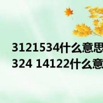 3121534什么意思（38324 14122什么意思）