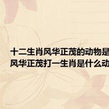 十二生肖风华正茂的动物是什么(风华正茂打一生肖是什么动物)