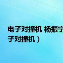 电子对撞机 杨振宁（电子对撞机）