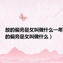 放的偏旁是攵叫做什么一年级（放的偏旁是攵叫做什么）