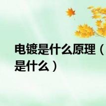 电镀是什么原理（电镀是什么）