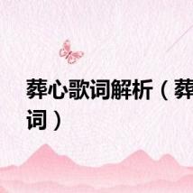 葬心歌词解析（葬心歌词）