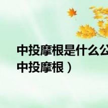 中投摩根是什么公司（中投摩根）