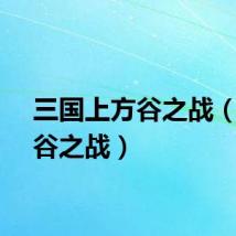 三国上方谷之战（上方谷之战）