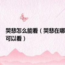 哭悲怎么能看（哭悲在哪个app可以看）