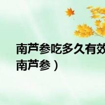 南芦参吃多久有效果（南芦参）
