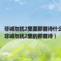 非诚勿扰2里面那首诗什么意思（非诚勿扰2里的那首诗）