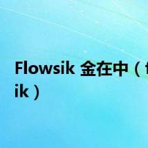 Flowsik 金在中(flowsik)