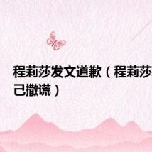 程莉莎发文道歉(程莉莎承认自己撒谎)