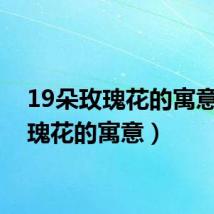 19朵玫瑰花的寓意（玫瑰花的寓意）