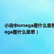小说中omega是什么意思(omega是什么意思)
