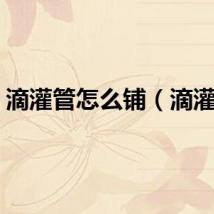 滴灌管怎么铺（滴灌管）