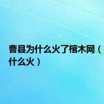 曹县为什么火了棺木网(曹县为什么火)