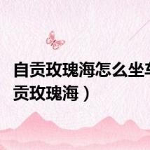 自贡玫瑰海怎么坐车（自贡玫瑰海）