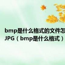 bmp是什么格式的文件怎么改成JPG(bmp是什么格式)