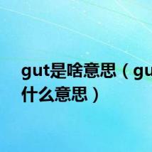 gut是啥意思（guts是什么意思）