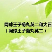 网球王子菊丸英二和大石秀一郎(网球王子菊丸英二)