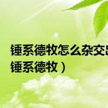 锤系德牧怎么杂交出来（锤系德牧）