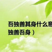 吾独善其身什么意思（独善吾身）
