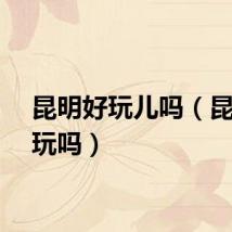 昆明好玩儿吗（昆明好玩吗）